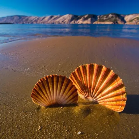 Apartment In With Sea View, Balcony, Air Conditioning, Wifi 4944-1 *